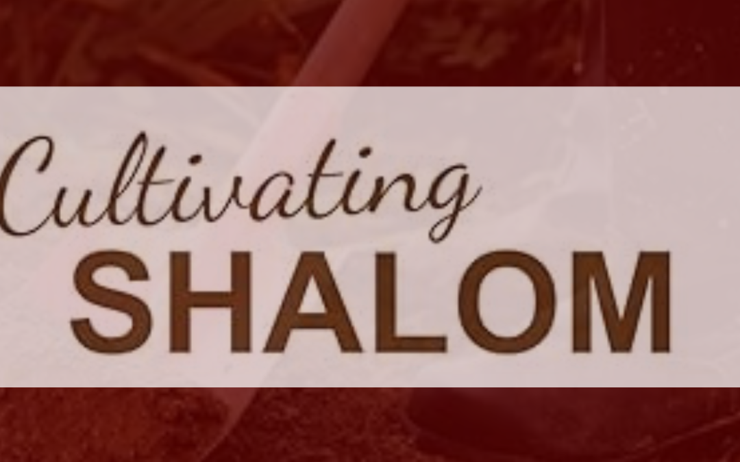 An adapted excerpt from Cultivating Shalom: Finding Peace in the Midst of Disruption, Uncertainty and Ordinary Life